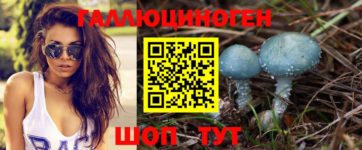 Новоуральск  Псилоцибиновые грибы MAGIC MUSHROOMS  Вход с VPN 