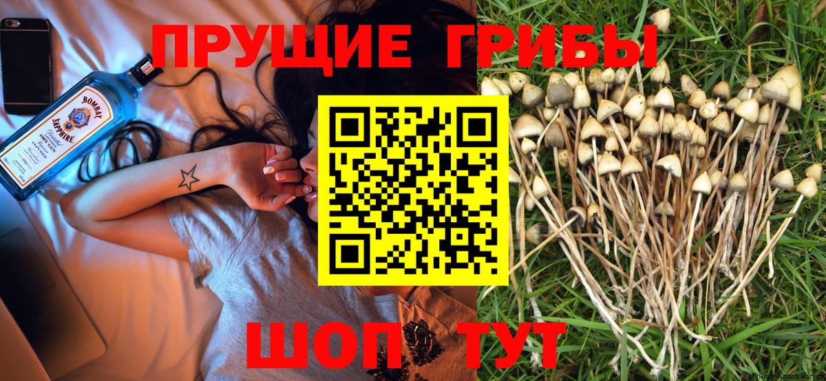 Псилоцибиновые грибы прущие грибы Новоуральск